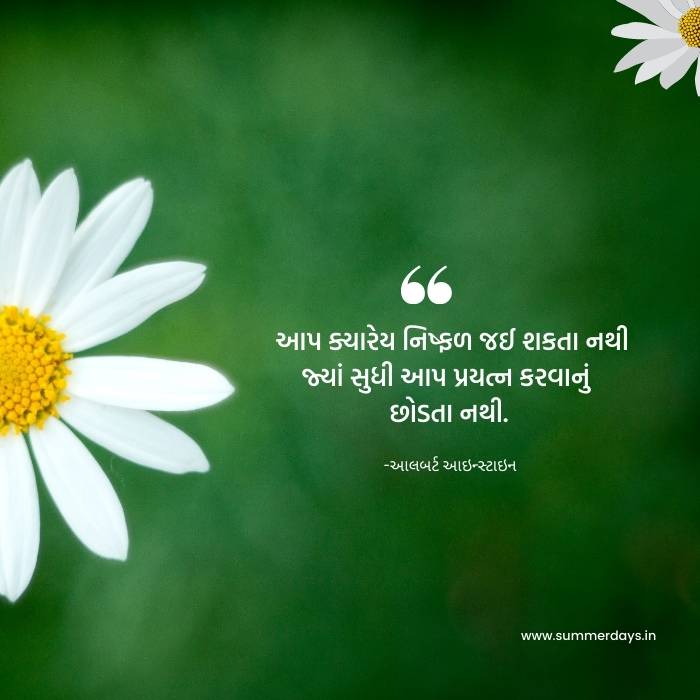 a pic with success quotes in gujarati