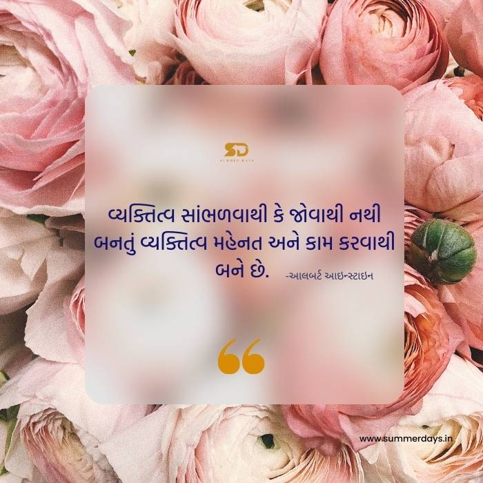 a pic rose pic with success quotes in gujarati