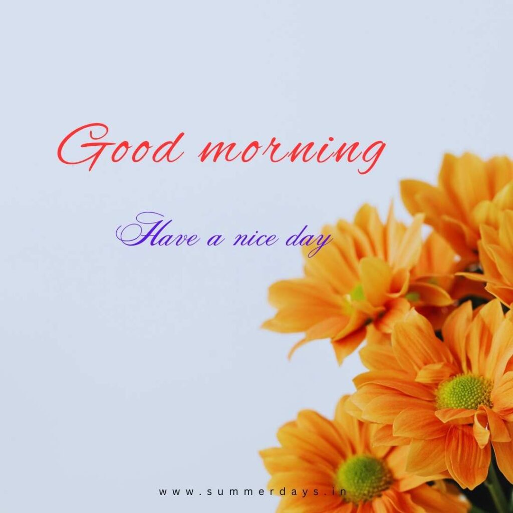 Download - good morning have a nice day Images 55 1 4 Download - good morning have a nice day Images