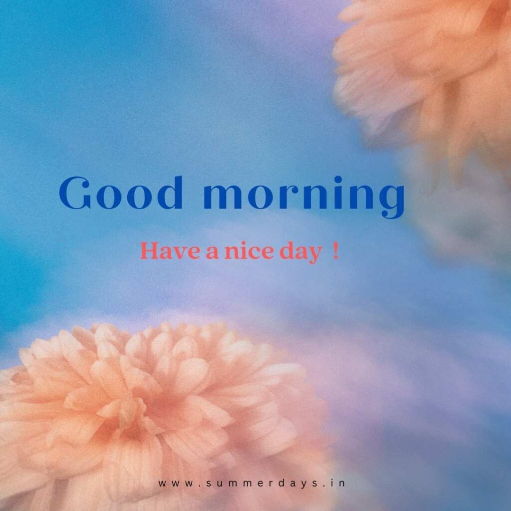Download - good morning have a nice day Images 46 12 1 Download - good morning have a nice day Images
