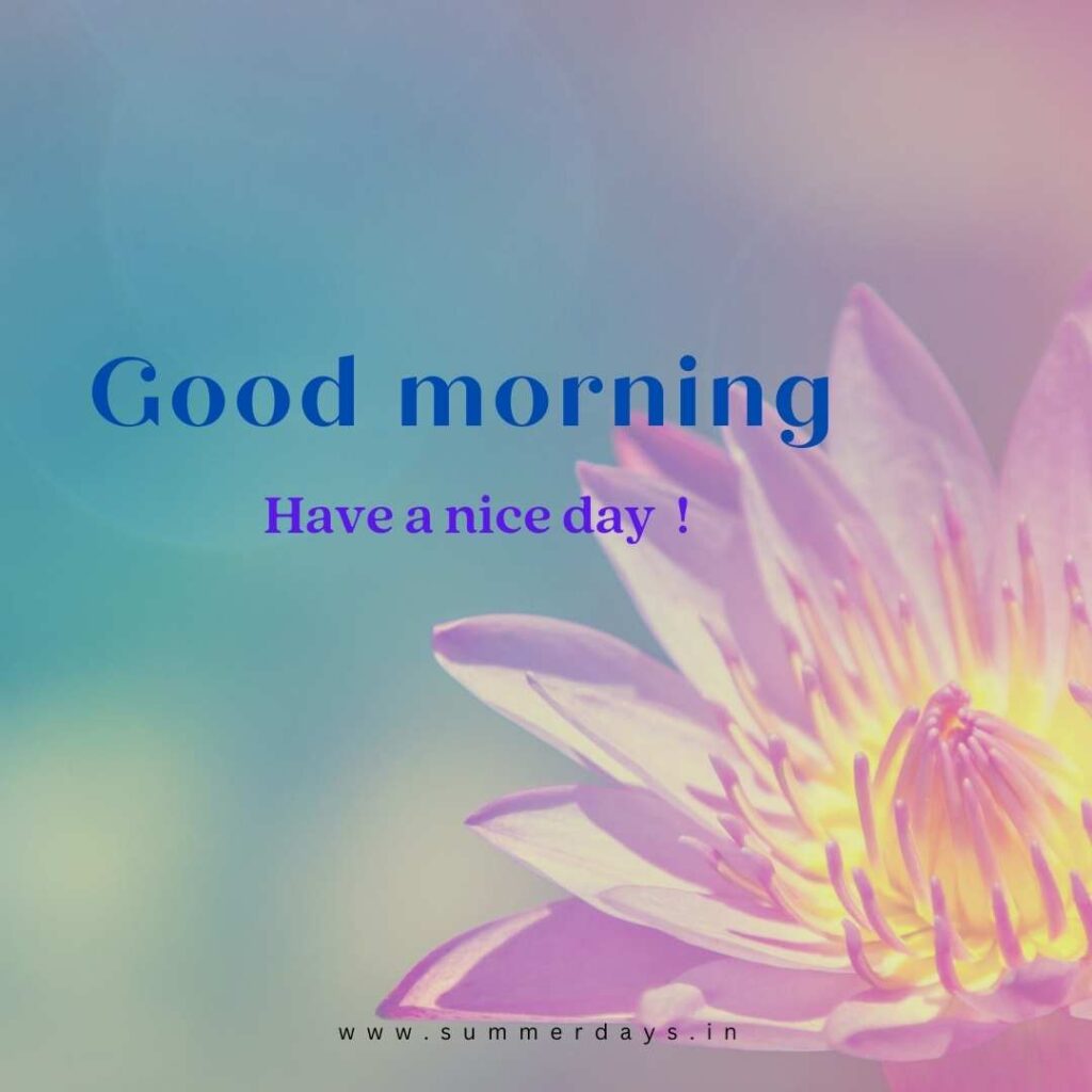 Download - good morning have a nice day Images 45 13 1 Download - good morning have a nice day Images