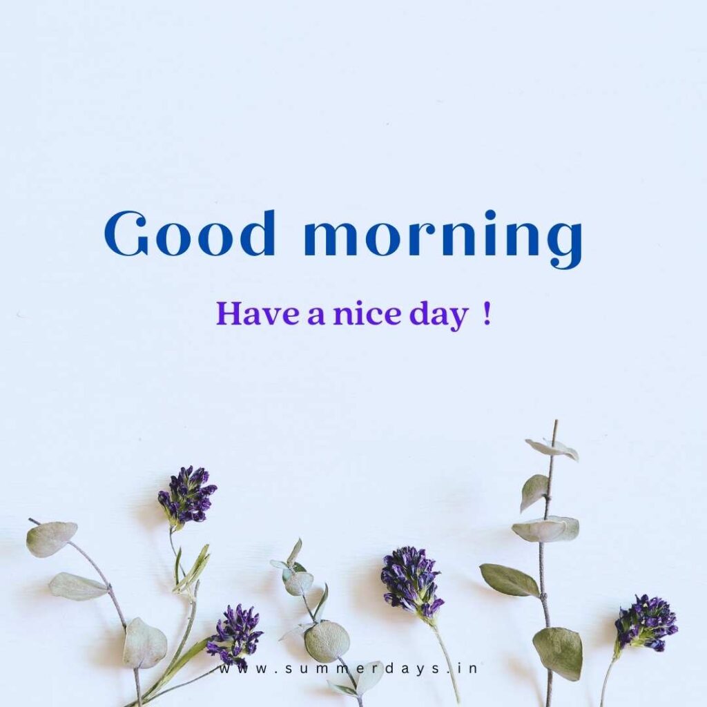 Download - good morning have a nice day Images 44 14 1 Download - good morning have a nice day Images