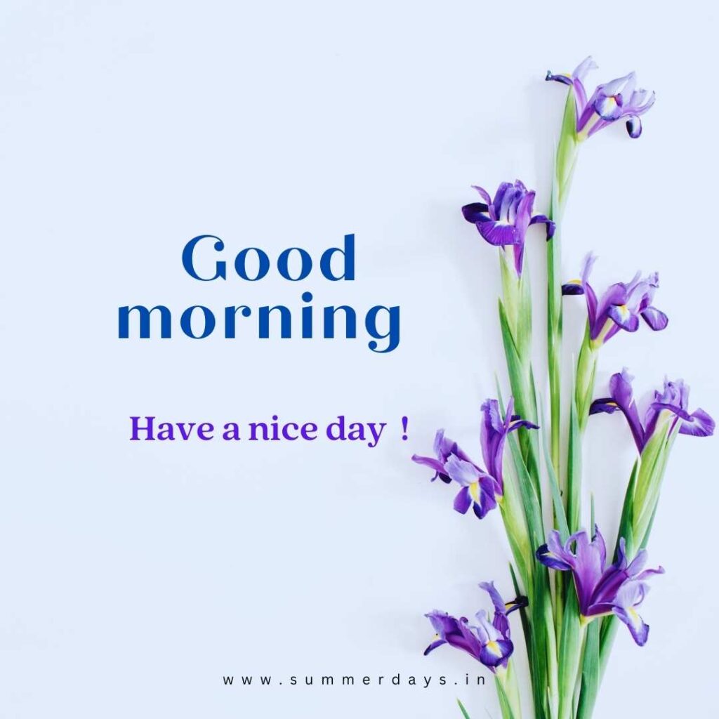 Download - good morning have a nice day Images 43 15 1 Download - good morning have a nice day Images