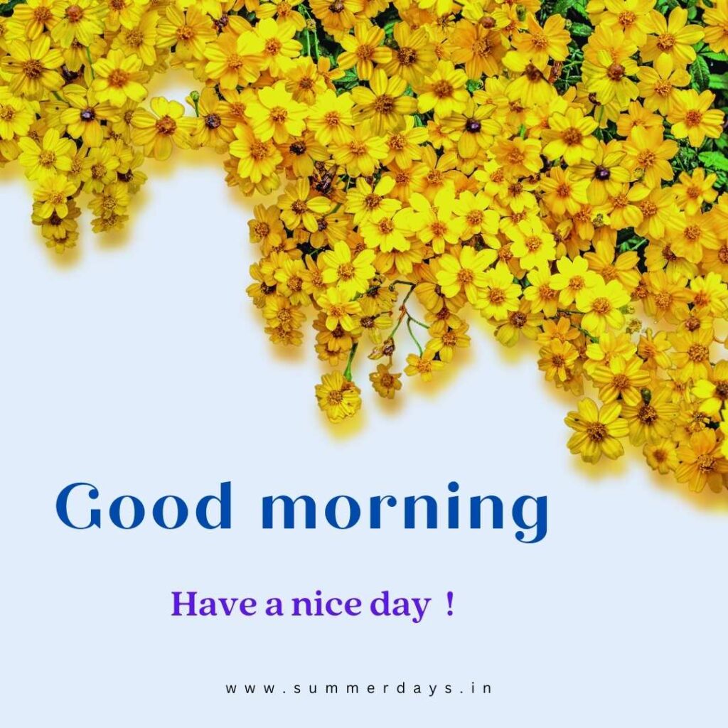 Download - good morning have a nice day Images 42 16 1 Download - good morning have a nice day Images