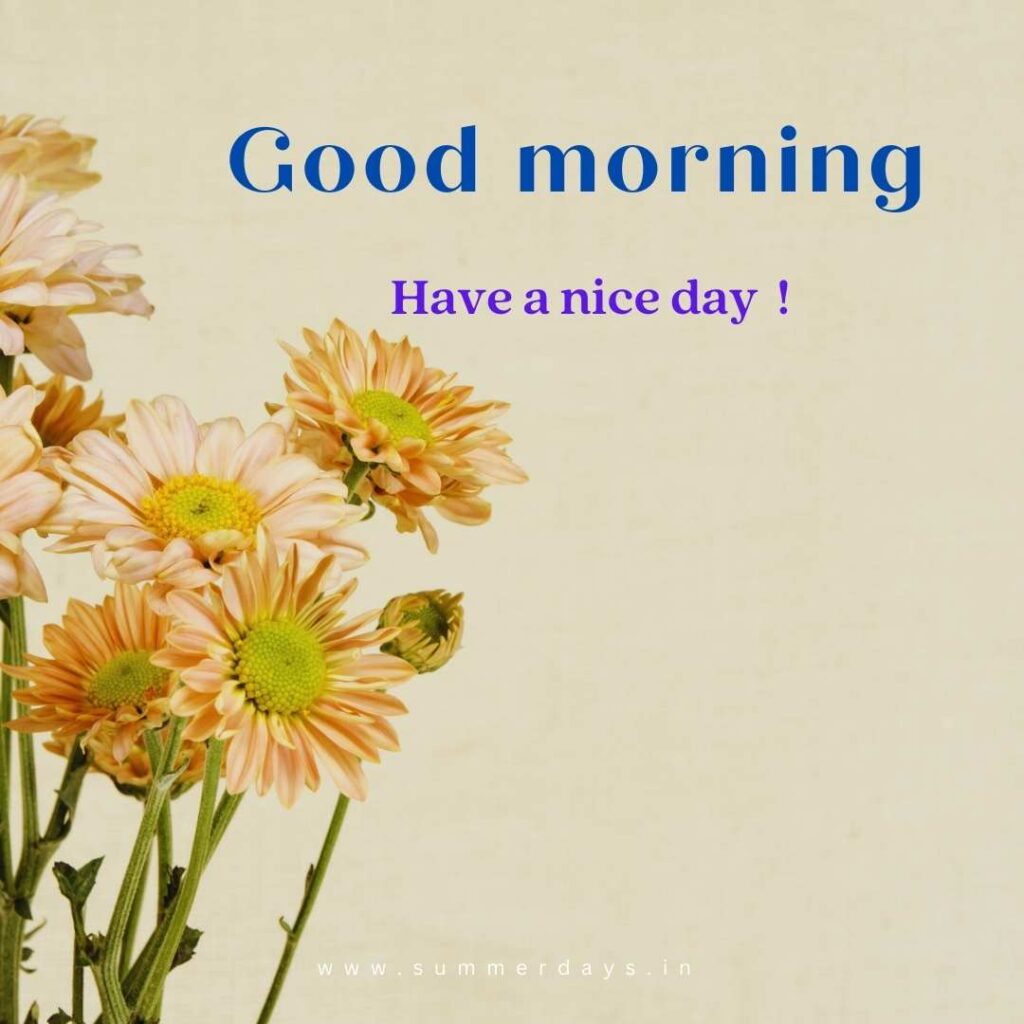 Download - good morning have a nice day Images 40 18 Download - good morning have a nice day Images