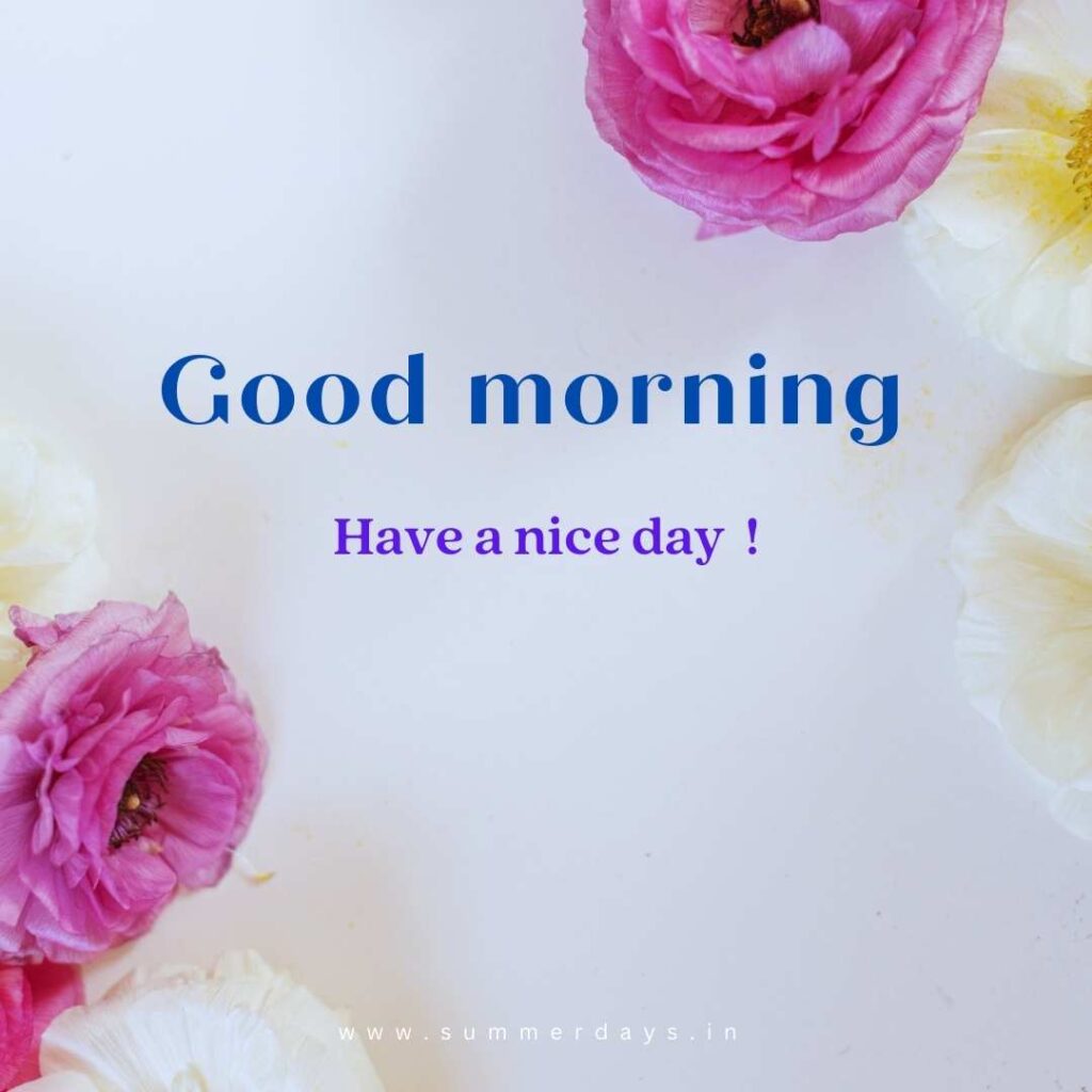 Download - good morning have a nice day Images 39 19 Download - good morning have a nice day Images