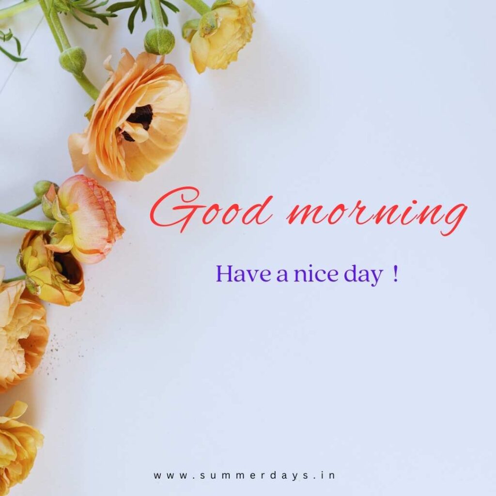 Download - good morning have a nice day Images 54 2 3 Download - good morning have a nice day Images