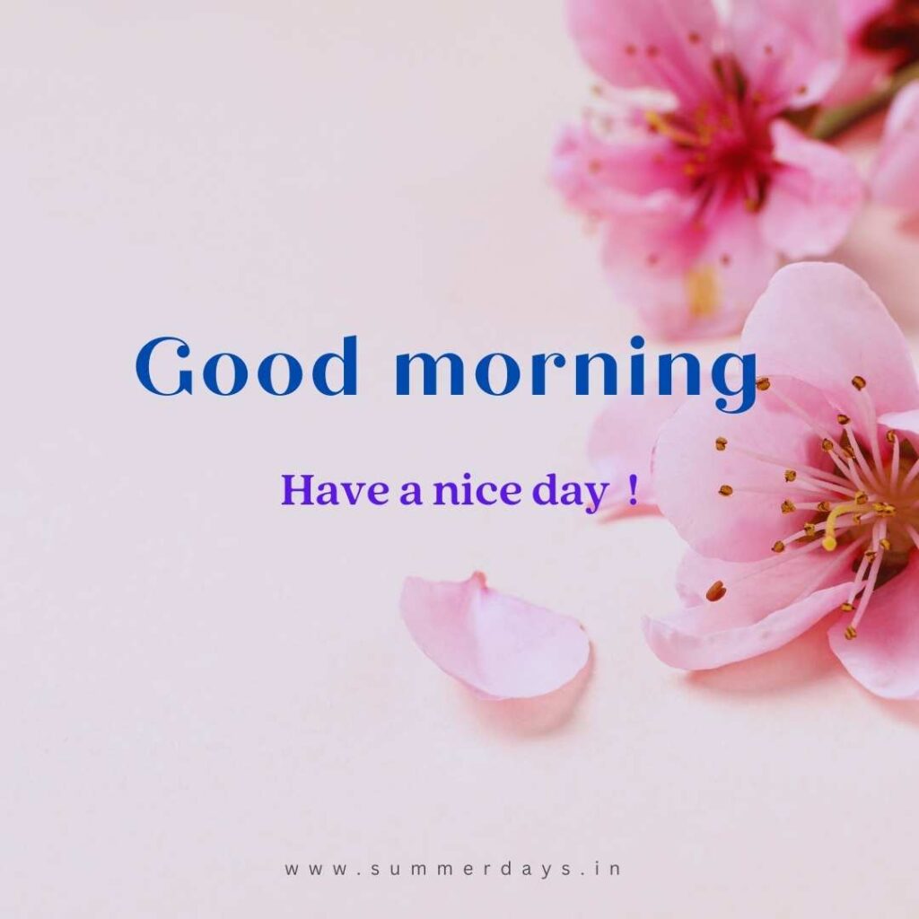 Download - good morning have a nice day Images 38 20 Download - good morning have a nice day Images