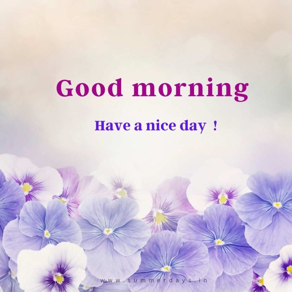 Download - good morning have a nice day Images 37 27 Download - good morning have a nice day Images
