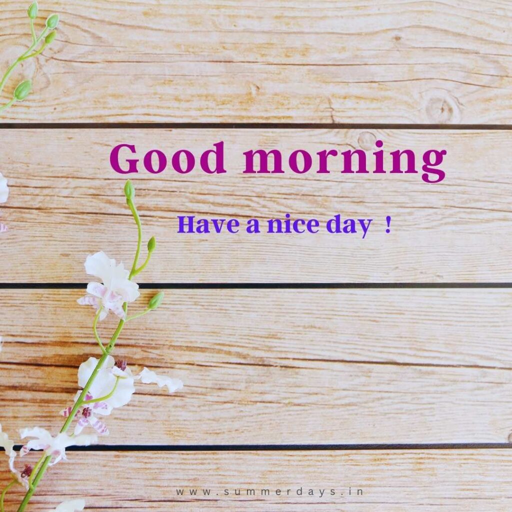 Download - good morning have a nice day Images 36 28 Download - good morning have a nice day Images