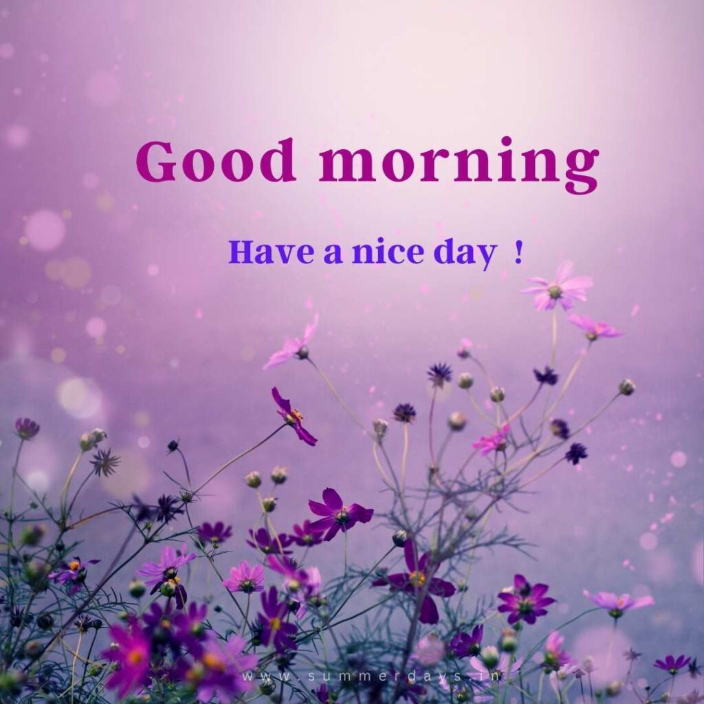 Download - good morning have a nice day Images 35 29 Download - good morning have a nice day Images