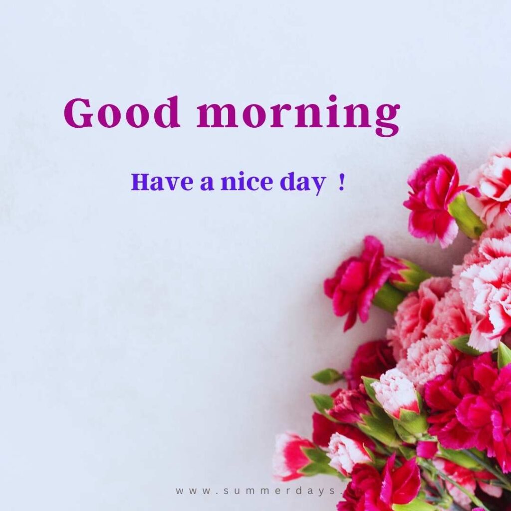 Download - good morning have a nice day Images 14 32 Download - good morning have a nice day Images