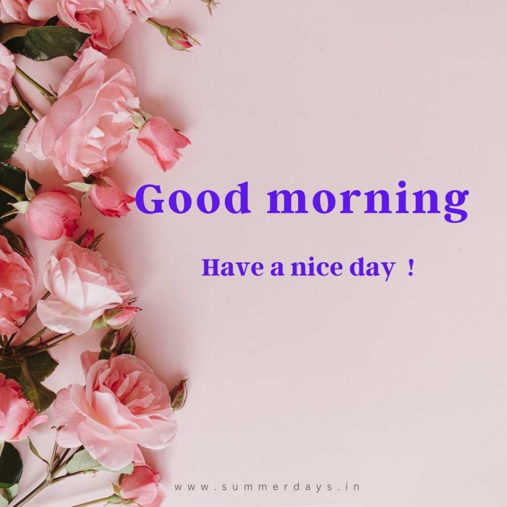 Download - good morning have a nice day Images 13 33 Download - good morning have a nice day Images