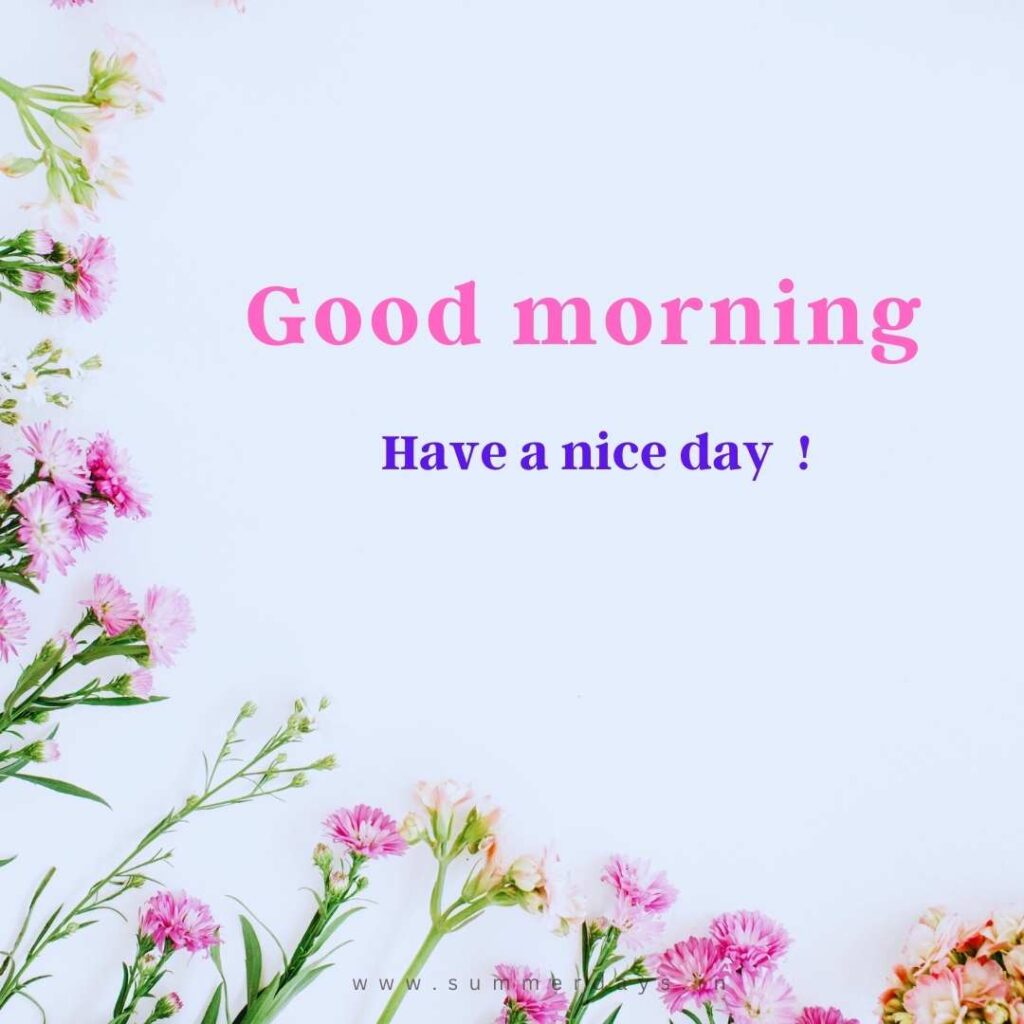 Download - good morning have a nice day Images 12 34 Download - good morning have a nice day Images