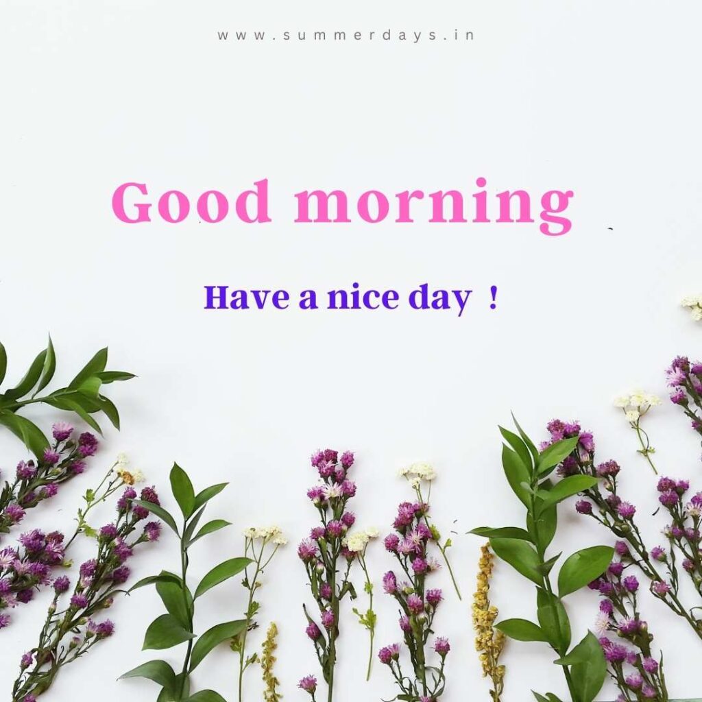 Download - good morning have a nice day Images 11 35 Download - good morning have a nice day Images