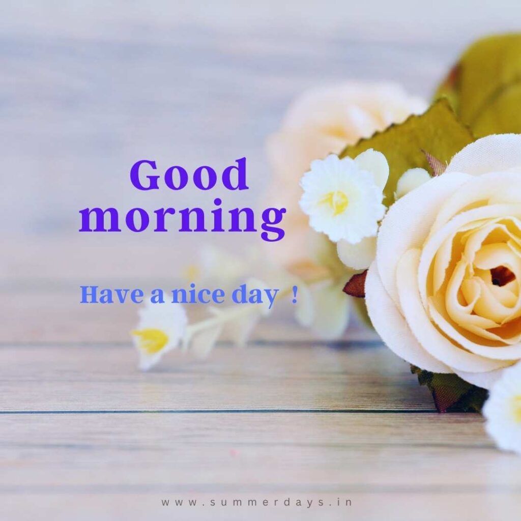 Download - good morning have a nice day Images 10 36 Download - good morning have a nice day Images