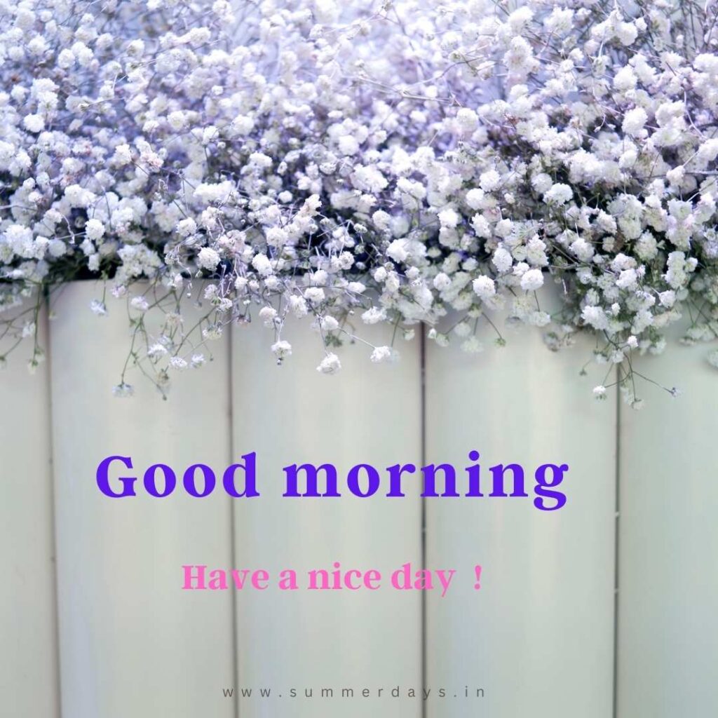 Download - good morning have a nice day Images 9 37 Download - good morning have a nice day Images