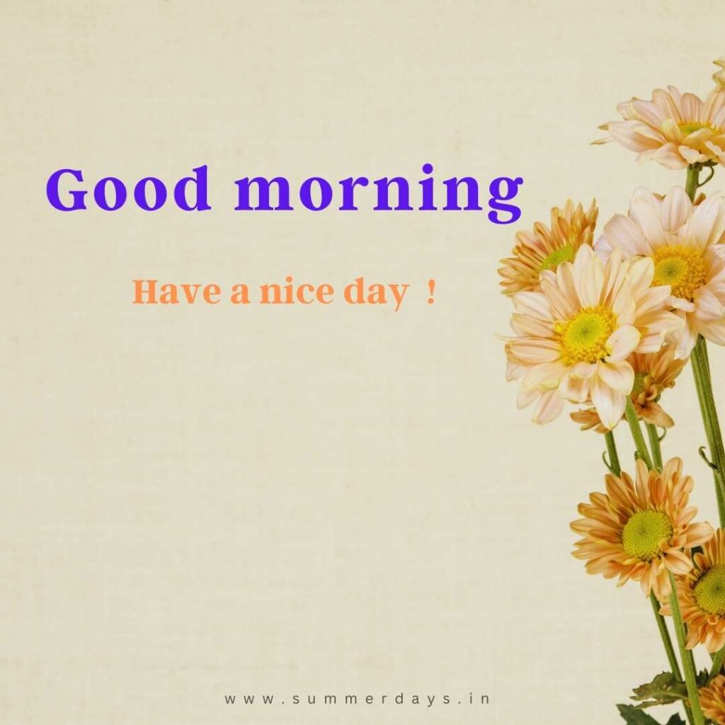 Download - good morning have a nice day Images 7 39 Download - good morning have a nice day Images