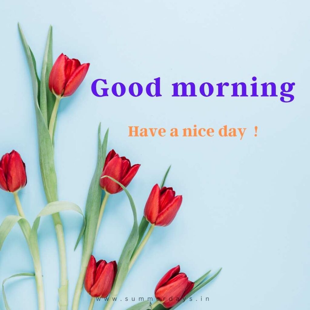 Download - good morning have a nice day Images 6 40 Download - good morning have a nice day Images