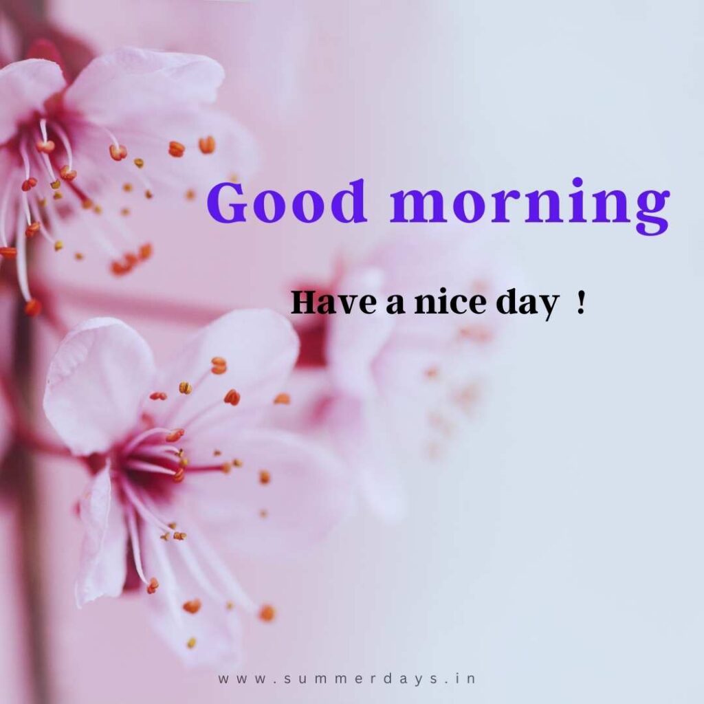 Download - good morning have a nice day Images 5 41 Download - good morning have a nice day Images
