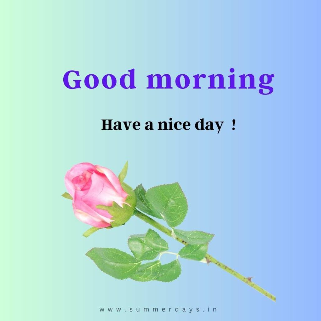 Download - good morning have a nice day Images 91 44 Download - good morning have a nice day Images