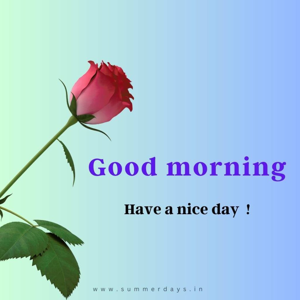 Download - good morning have a nice day Images 90 45 Download - good morning have a nice day Images