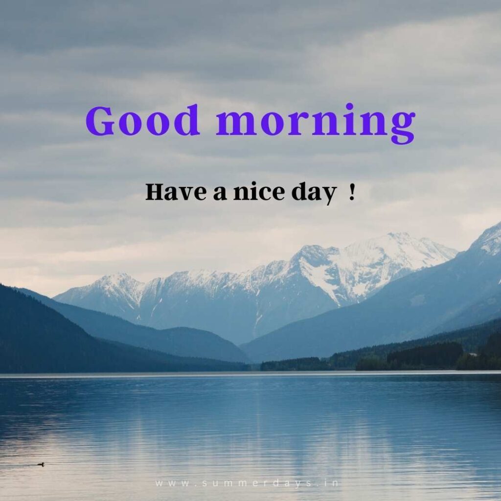 Download - good morning have a nice day Images 88 47 Download - good morning have a nice day Images