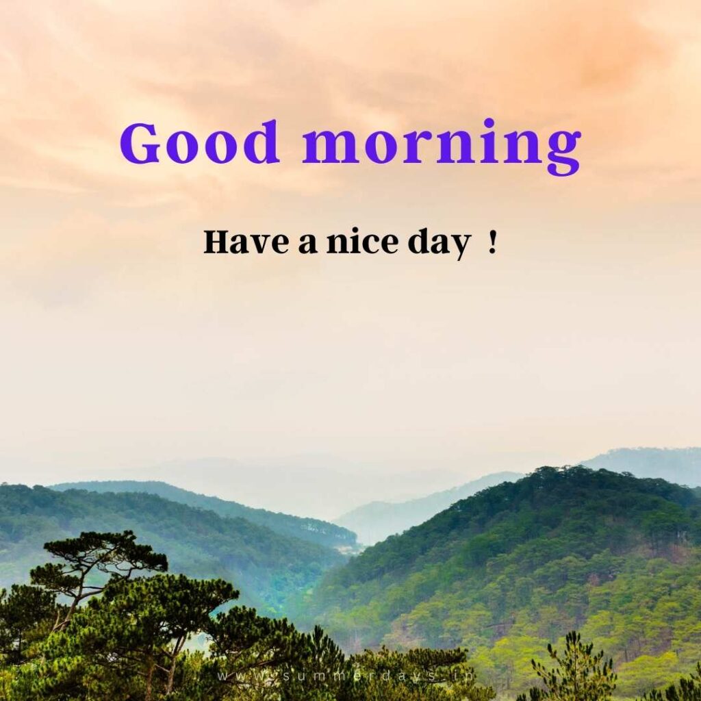 Download - good morning have a nice day Images 86 49 Download - good morning have a nice day Images
