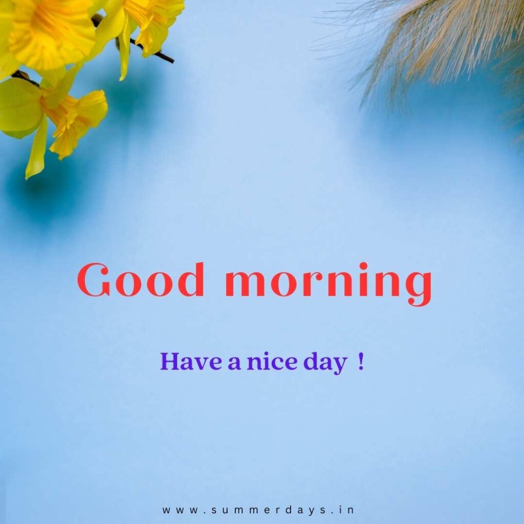Download - good morning have a nice day Images 52 5 3 Download - good morning have a nice day Images