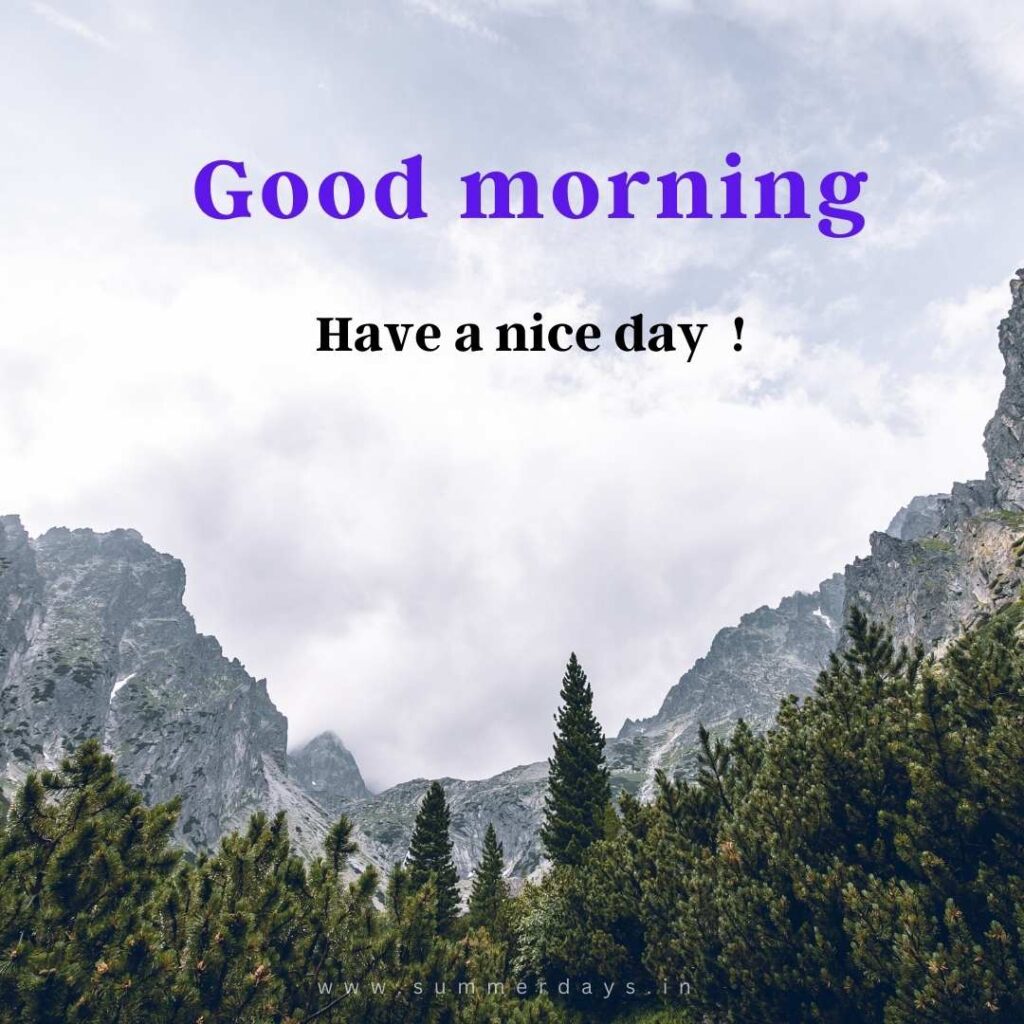 Download - good morning have a nice day Images 85 50 Download - good morning have a nice day Images