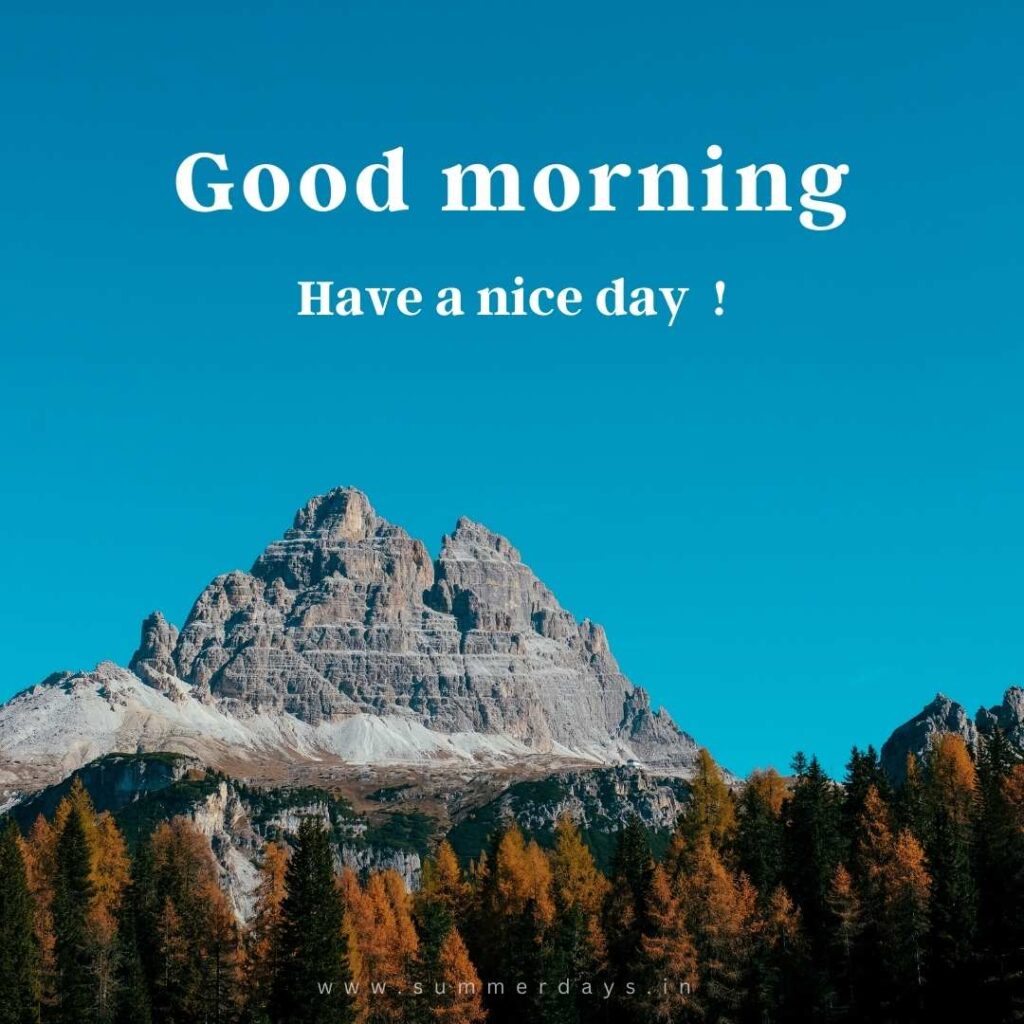 Download - good morning have a nice day Images 80 55 Download - good morning have a nice day Images