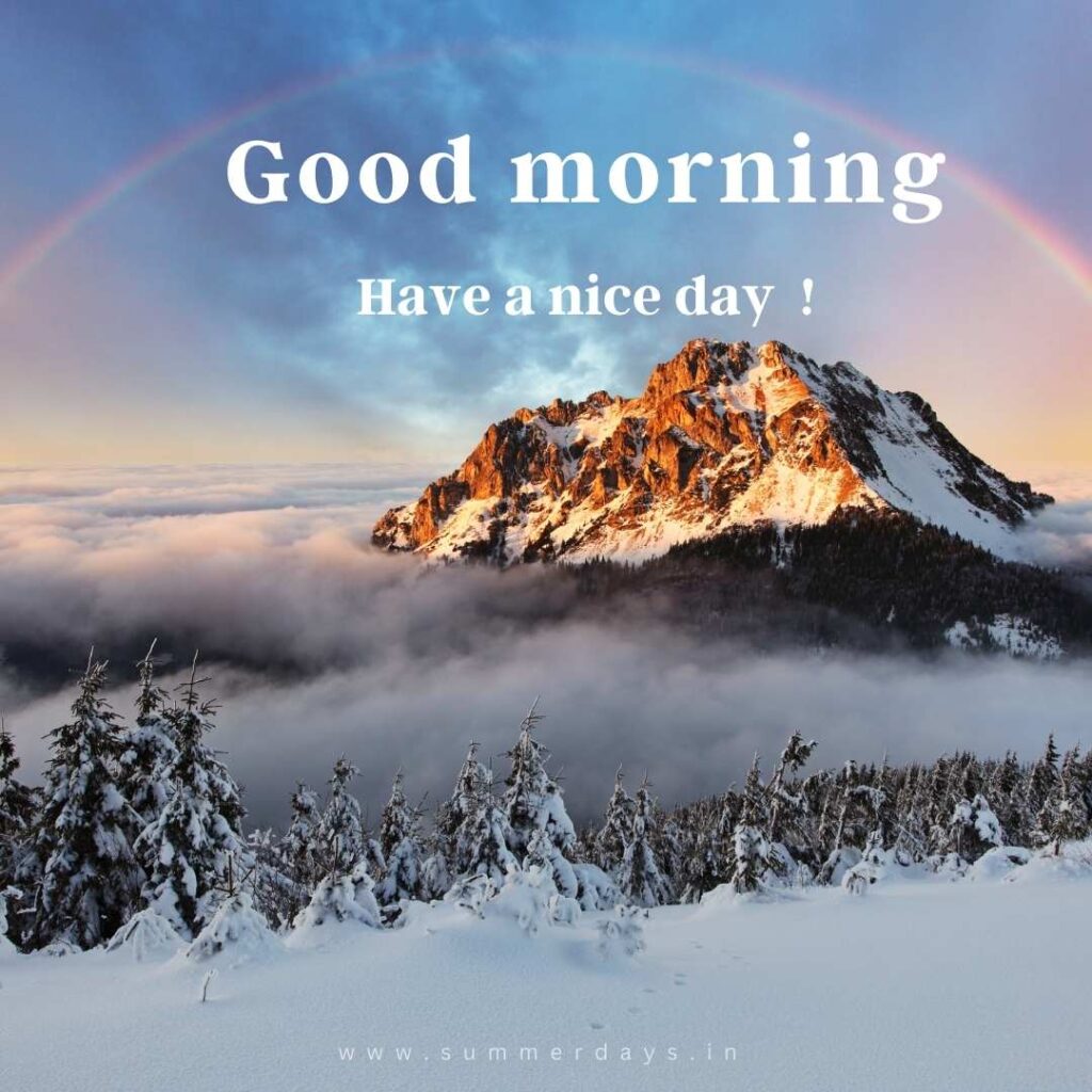 Download - good morning have a nice day Images 79 56 Download - good morning have a nice day Images