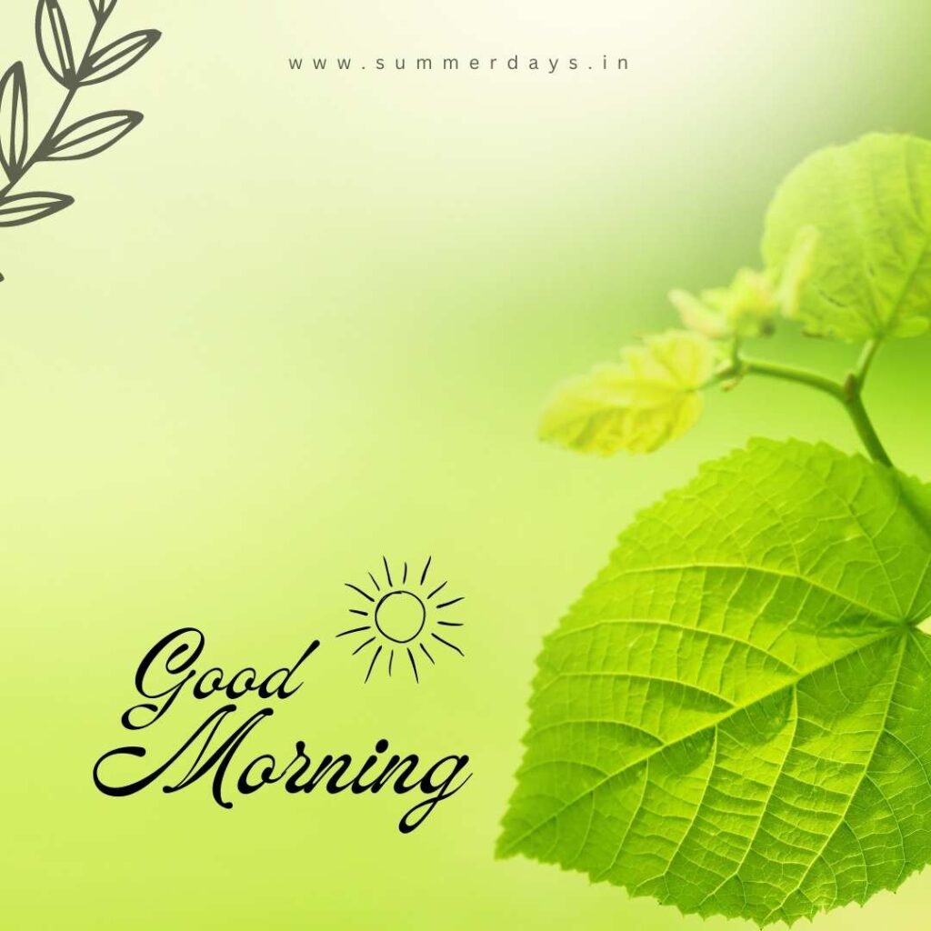 Download - good morning have a nice day Images 75 60 Download - good morning have a nice day Images