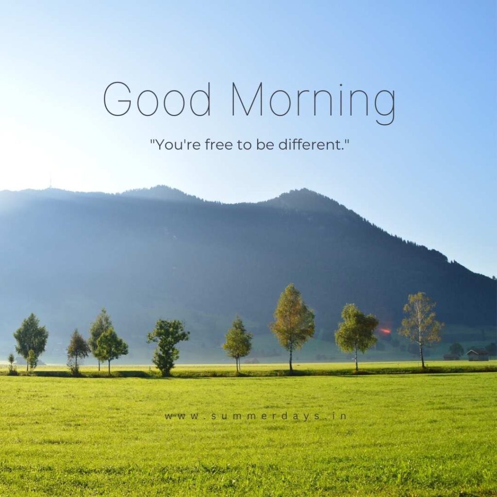 Download - good morning have a nice day Images 74 61 Download - good morning have a nice day Images