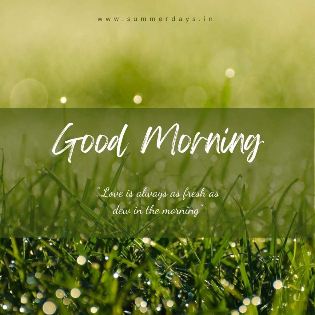 Download - good morning have a nice day Images 73 62 Download - good morning have a nice day Images