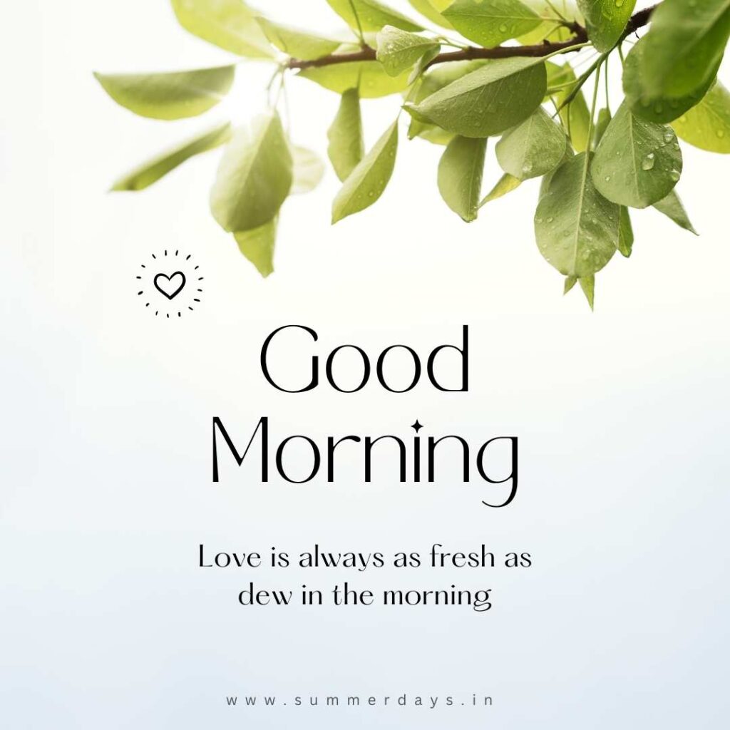 Download - good morning have a nice day Images 70 66 Download - good morning have a nice day Images