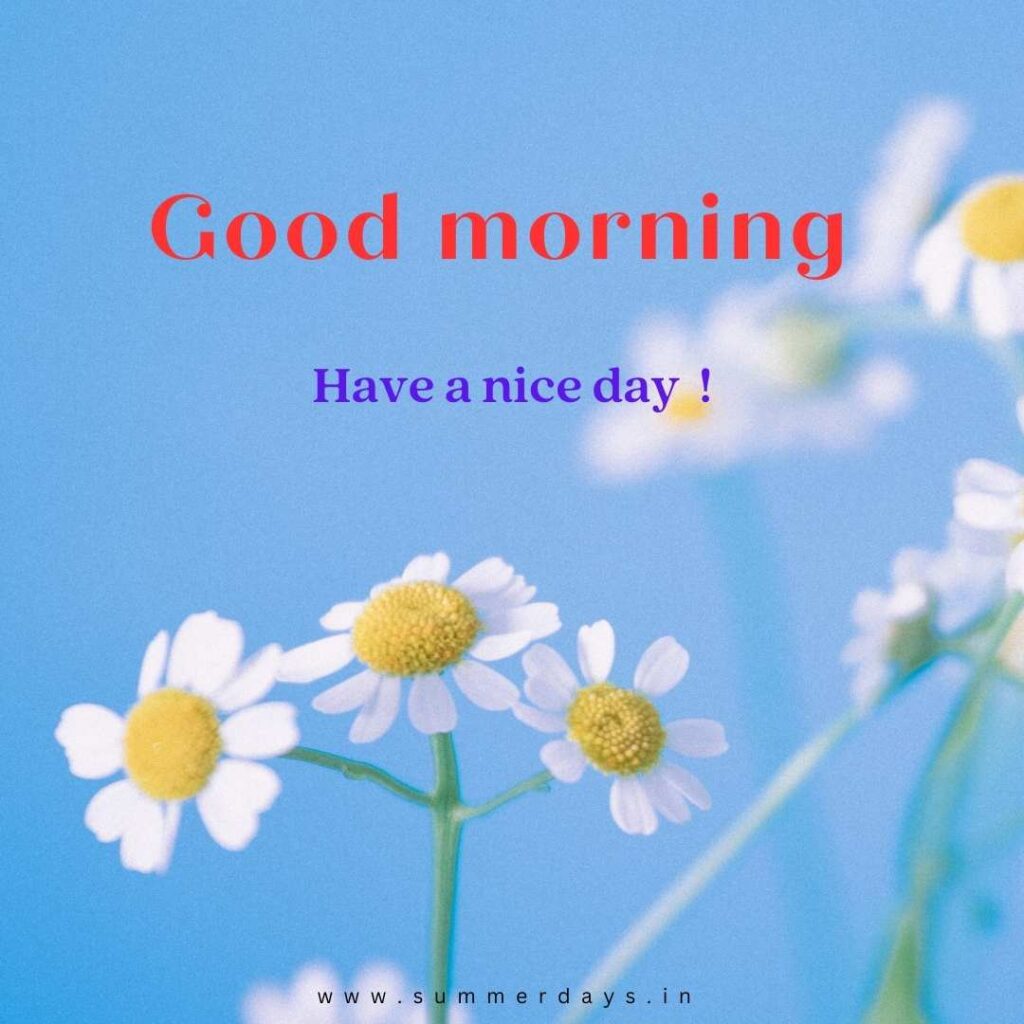 Download - good morning have a nice day Images 50 7 1 Download - good morning have a nice day Images