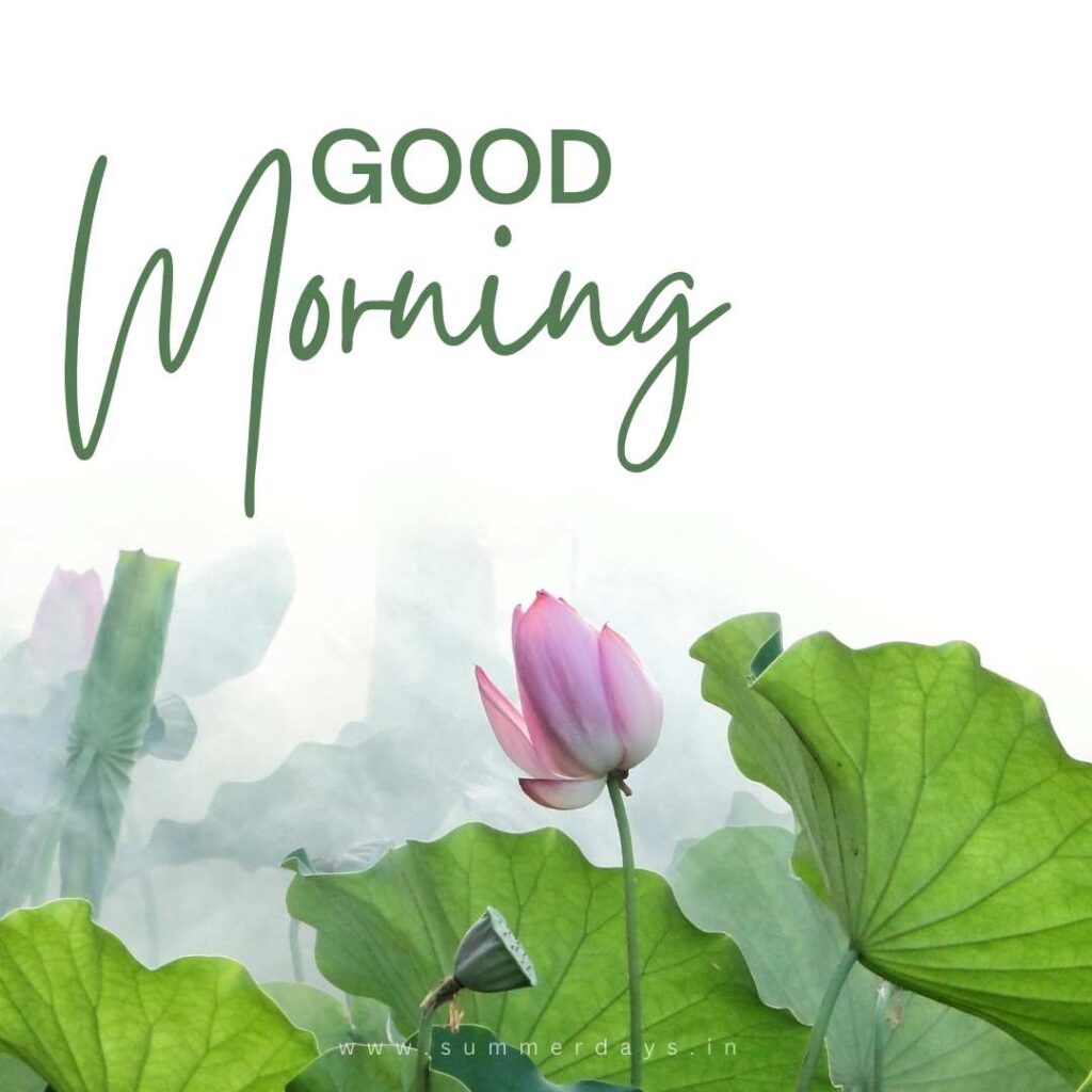 Download - good morning have a nice day Images 66 71 Download - good morning have a nice day Images