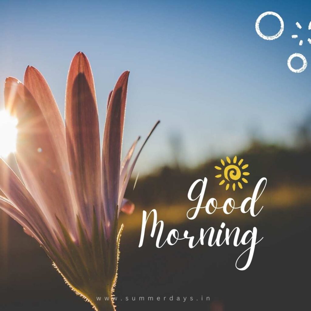 Download - good morning have a nice day Images 65 72 Download - good morning have a nice day Images