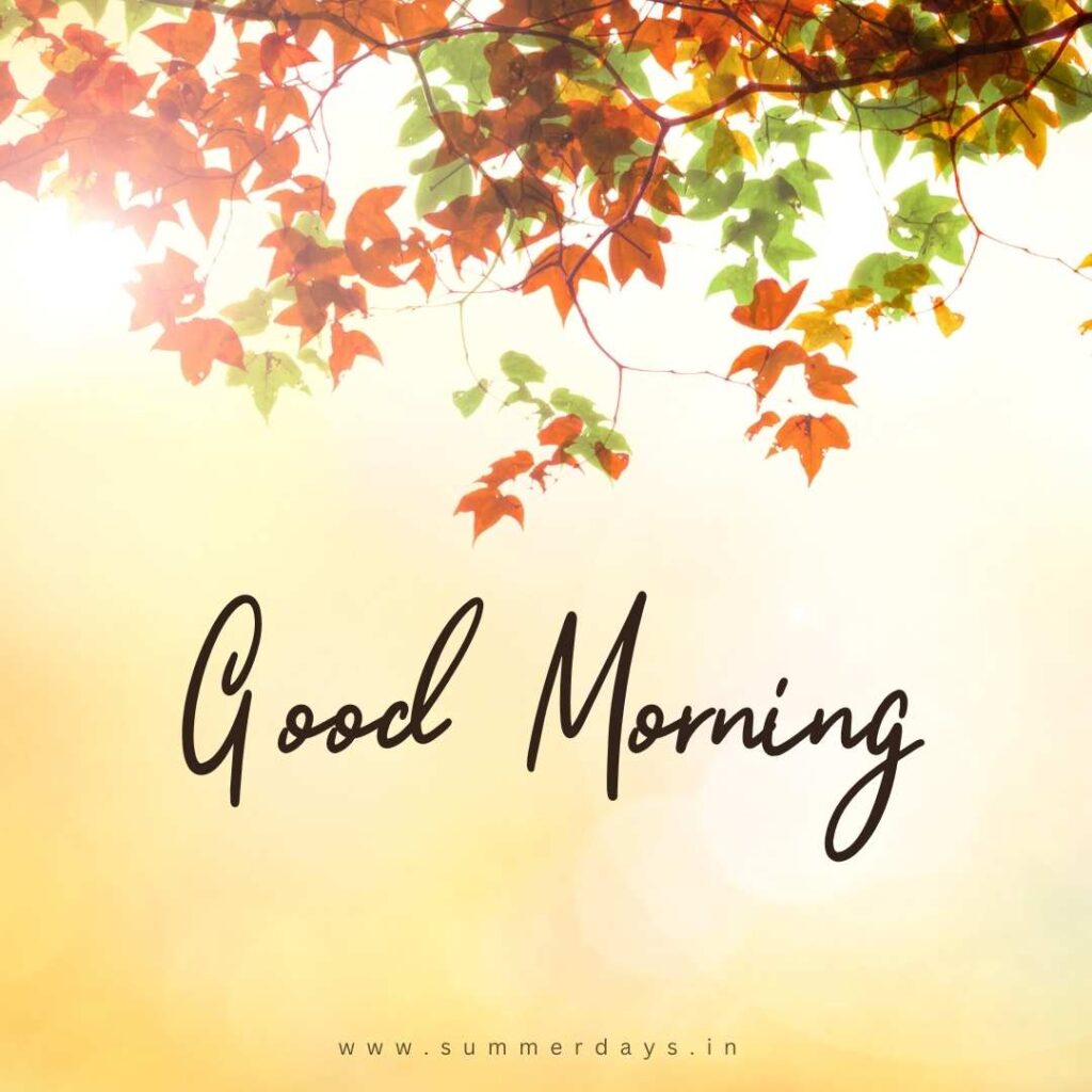 Download - good morning have a nice day Images 64 73 Download - good morning have a nice day Images