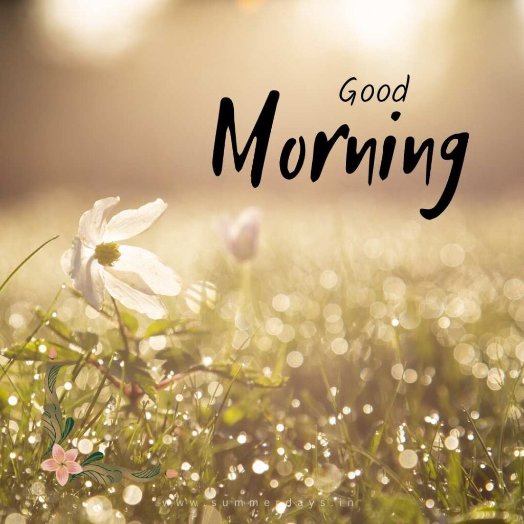 Download - good morning have a nice day Images 59 78 Download - good morning have a nice day Images