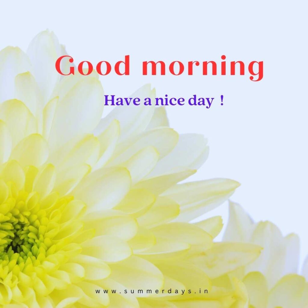 Download - good morning have a nice day Images 49 8 2 Download - good morning have a nice day Images