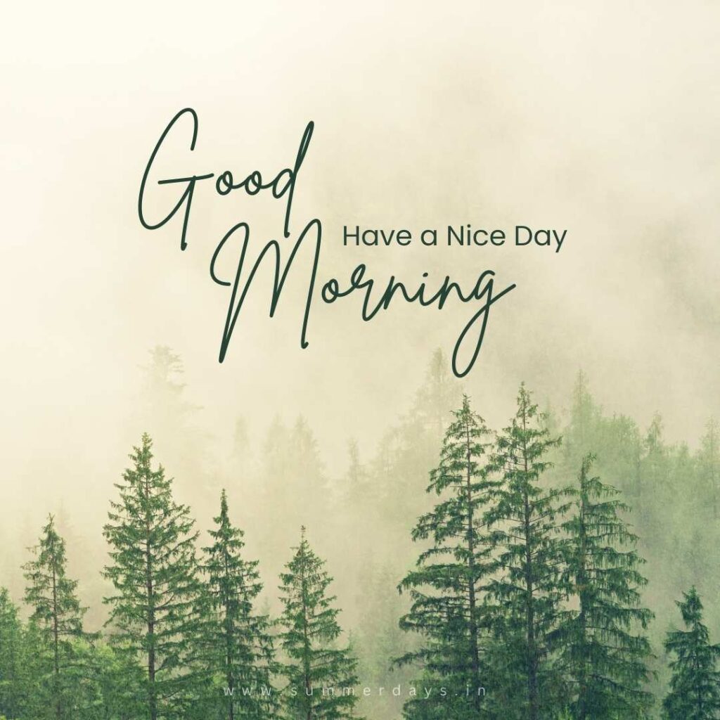 Download - good morning have a nice day Images 17 84 Download - good morning have a nice day Images