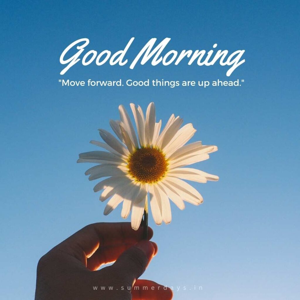Download - good morning have a nice day Images 26 93 Download - good morning have a nice day Images