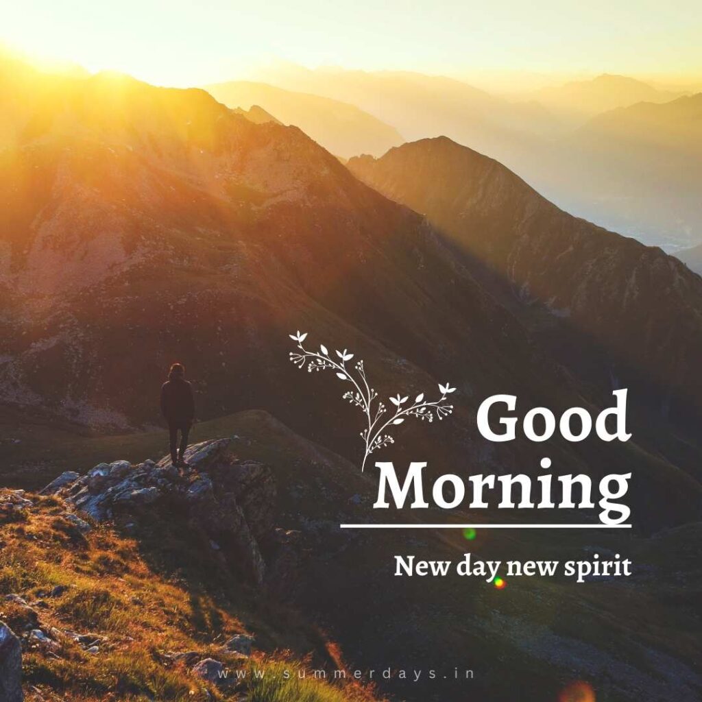 Download - good morning have a nice day Images 28 95 Download - good morning have a nice day Images
