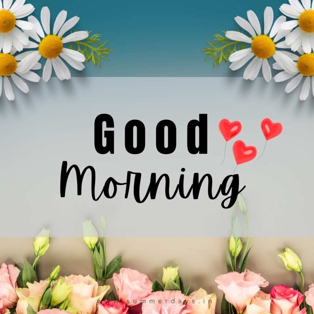 Download - good morning have a nice day Images 29 96 Download - good morning have a nice day Images