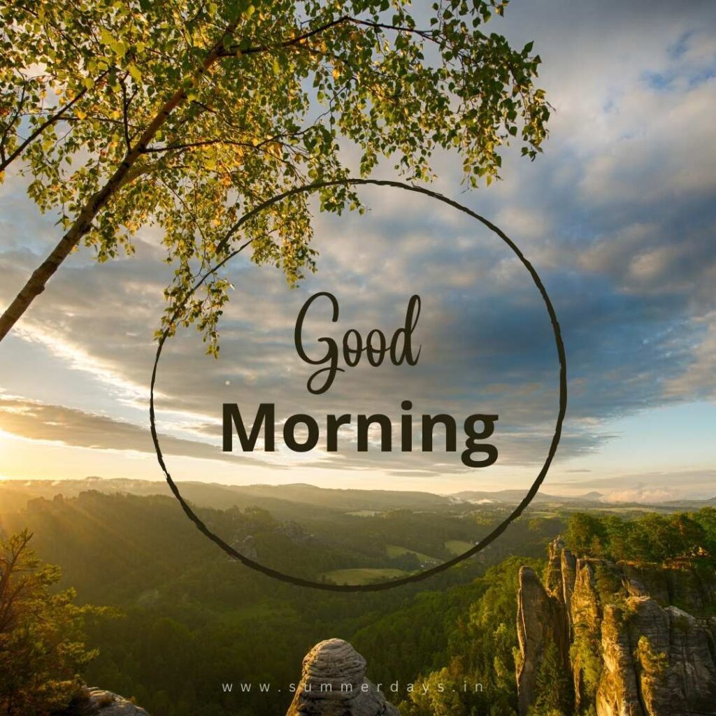 Download - good morning have a nice day Images 32 99 Download - good morning have a nice day Images
