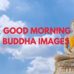 Good Morning Buddha Images