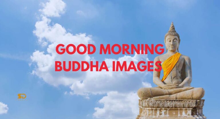 Good Morning Buddha Images