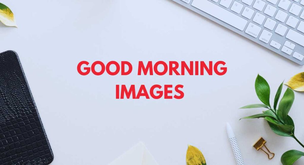 good morning have a nice day images
